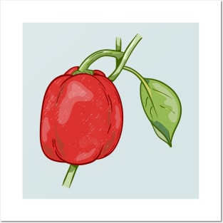 Red capsicum Pepper Vector Posters and Art